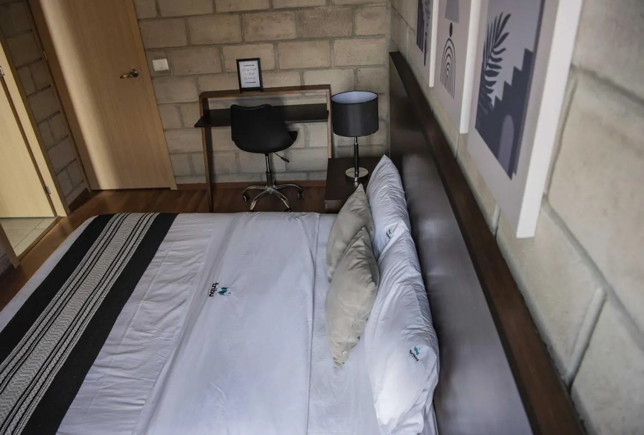 Apartamento Modern Design Loft Wgym Coworking 2 Bd Tribu Colon 412 Guadalajara México
